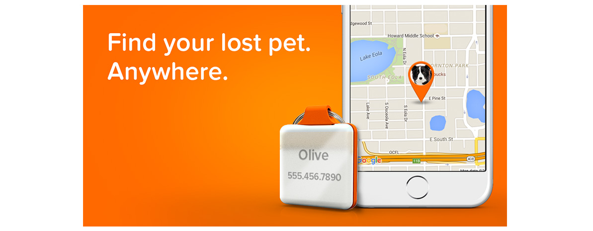 pet gps tracker